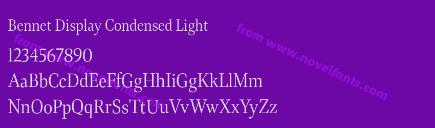 Bennet Display Condensed LightPreview