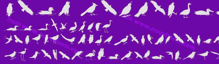 Bird Silhouettes reversePreview