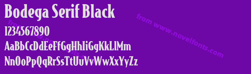 Bodega Serif BlackPreview