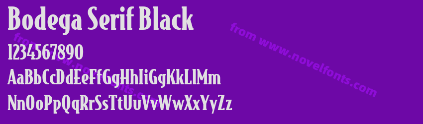 Bodega Serif BlackPreview