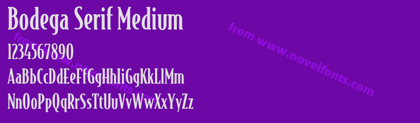 Bodega Serif MediumPreview