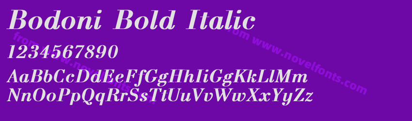 Bodoni Bold ItalicPreview