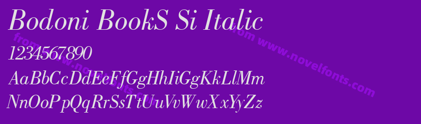 Bodoni BookS Si ItalicPreview