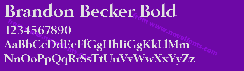 Brandon Becker BoldPreview