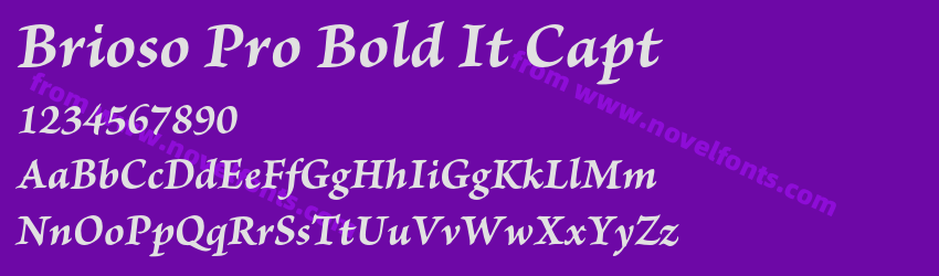 Brioso Pro Bold It CaptPreview