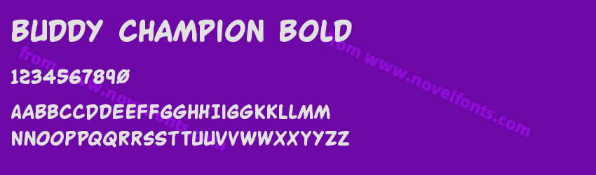 Buddy Champion BoldPreview