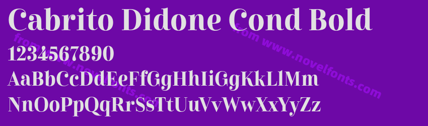 Cabrito Didone Cond BoldPreview