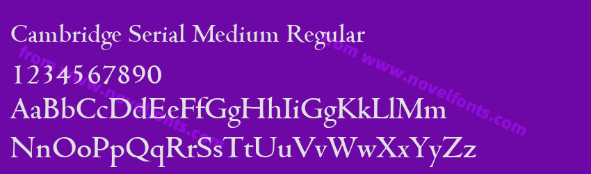 Cambridge Serial Medium RegularPreview