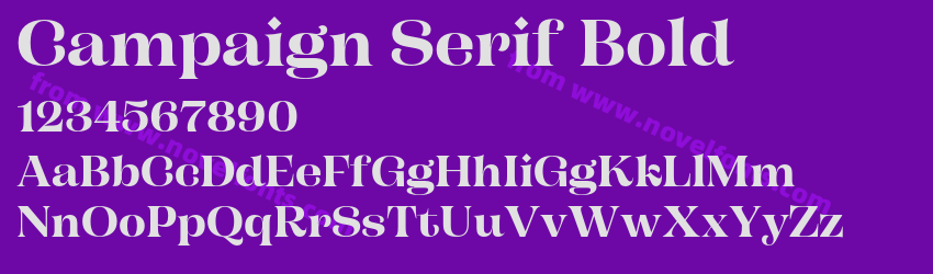 Campaign Serif BoldPreview