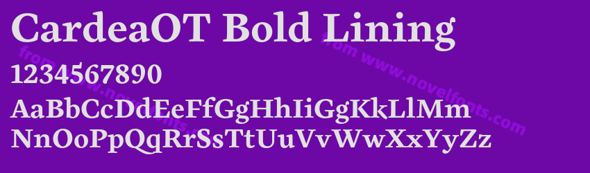 CardeaOT Bold LiningPreview