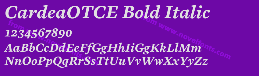 CardeaOTCE Bold ItalicPreview