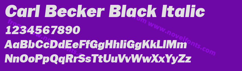 Carl Becker Black ItalicPreview