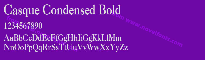 Casque Condensed BoldPreview