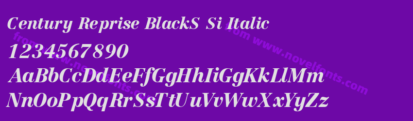 Century Reprise BlackS Si ItalicPreview