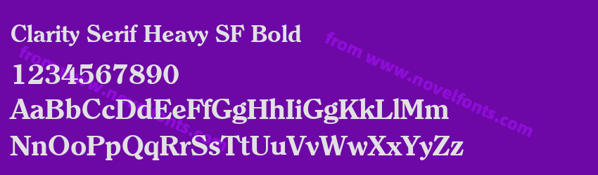 Clarity Serif Heavy SF BoldPreview