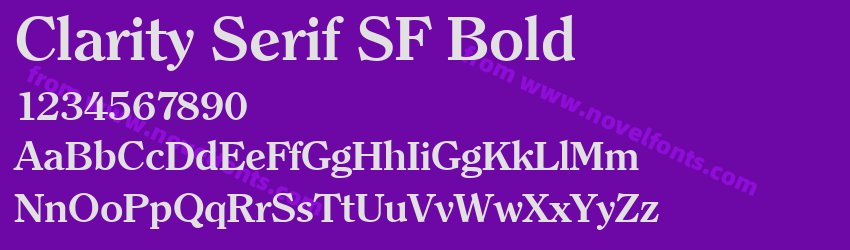 Clarity Serif SF BoldPreview