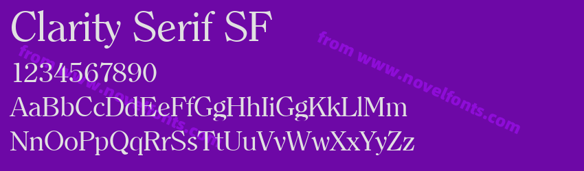 Clarity Serif SFPreview