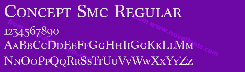 Concept Smc RegularPreview