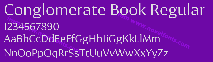 Conglomerate Book RegularPreview