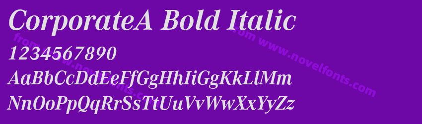 CorporateA Bold ItalicPreview