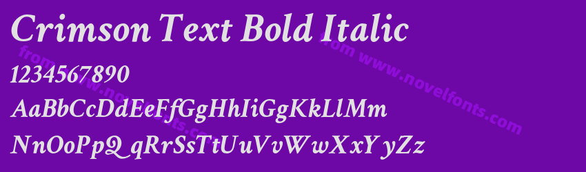 Crimson Text Bold ItalicPreview