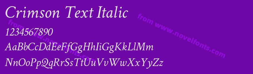 Crimson Text ItalicPreview