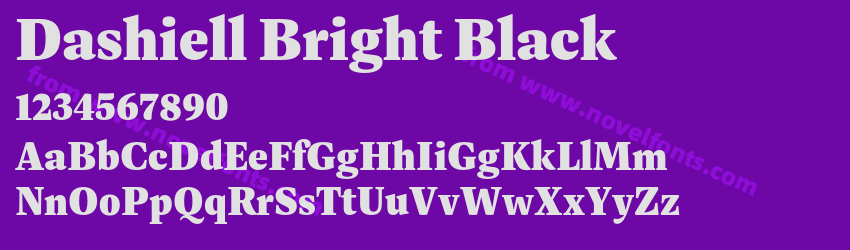 Dashiell Bright BlackPreview