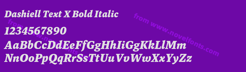 Dashiell Text X Bold ItalicPreview