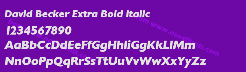 David Becker Extra Bold ItalicPreview