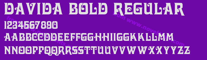 Davida Bold RegularPreview