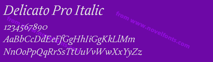 Delicato Pro ItalicPreview