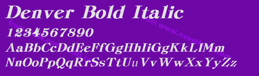 Denver Bold ItalicPreview