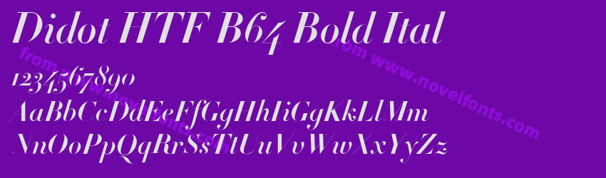 Didot-HTF-B64-Bold-ItalPreview