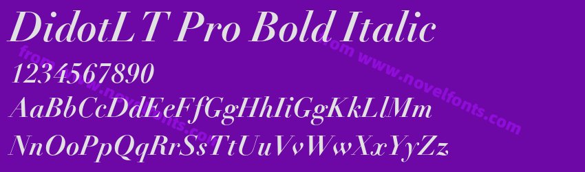 DidotLT Pro Bold ItalicPreview