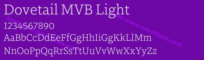 Dovetail MVB LightPreview