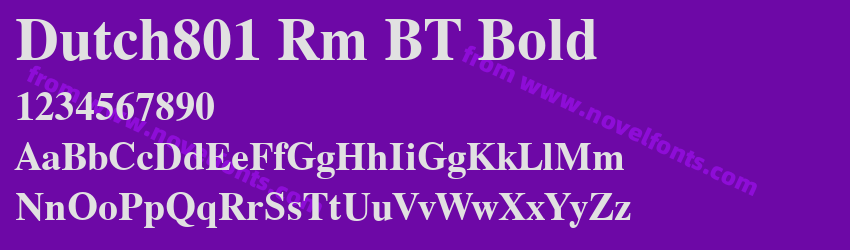 Dutch801 Rm BT BoldPreview