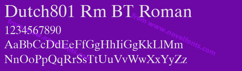 Dutch801 Rm BT RomanPreview