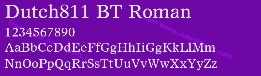 Dutch811 BT RomanPreview