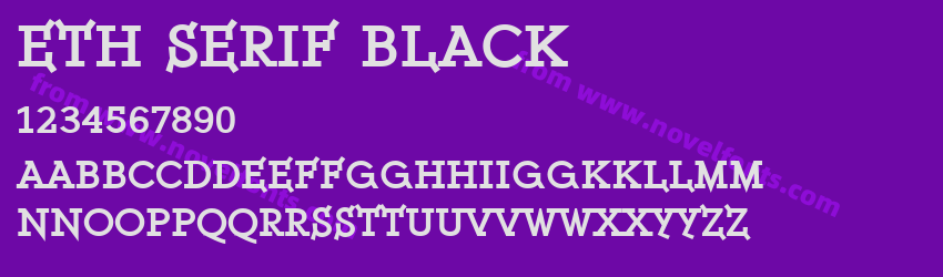 ETH Serif BlackPreview