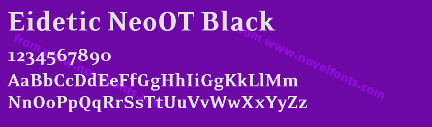 Eidetic NeoOT BlackPreview