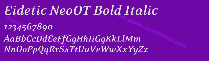 Eidetic NeoOT Bold ItalicPreview