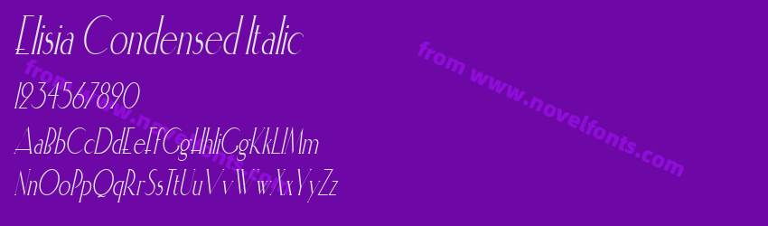 Elisia Condensed ItalicPreview