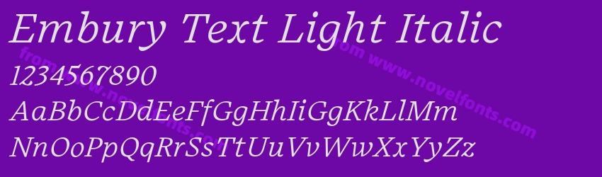 Embury Text Light ItalicPreview