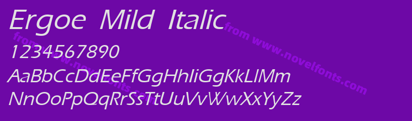 Ergoe Mild ItalicPreview