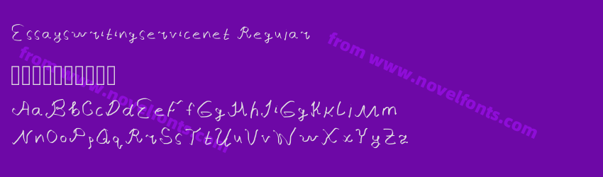 Essayswritingservicenet RegularPreview