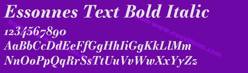 Essonnes Text Bold ItalicPreview