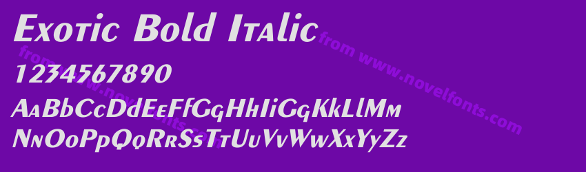 Exotic-Bold ItalicPreview