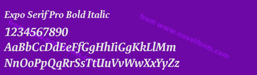 Expo Serif Pro Bold ItalicPreview