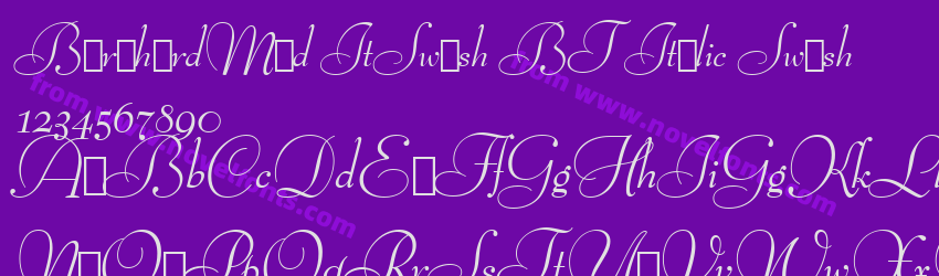 Bernhard Mod It Swash BT Italic SwashPreview