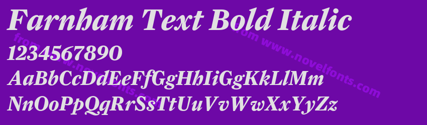 Farnham Text Bold ItalicPreview